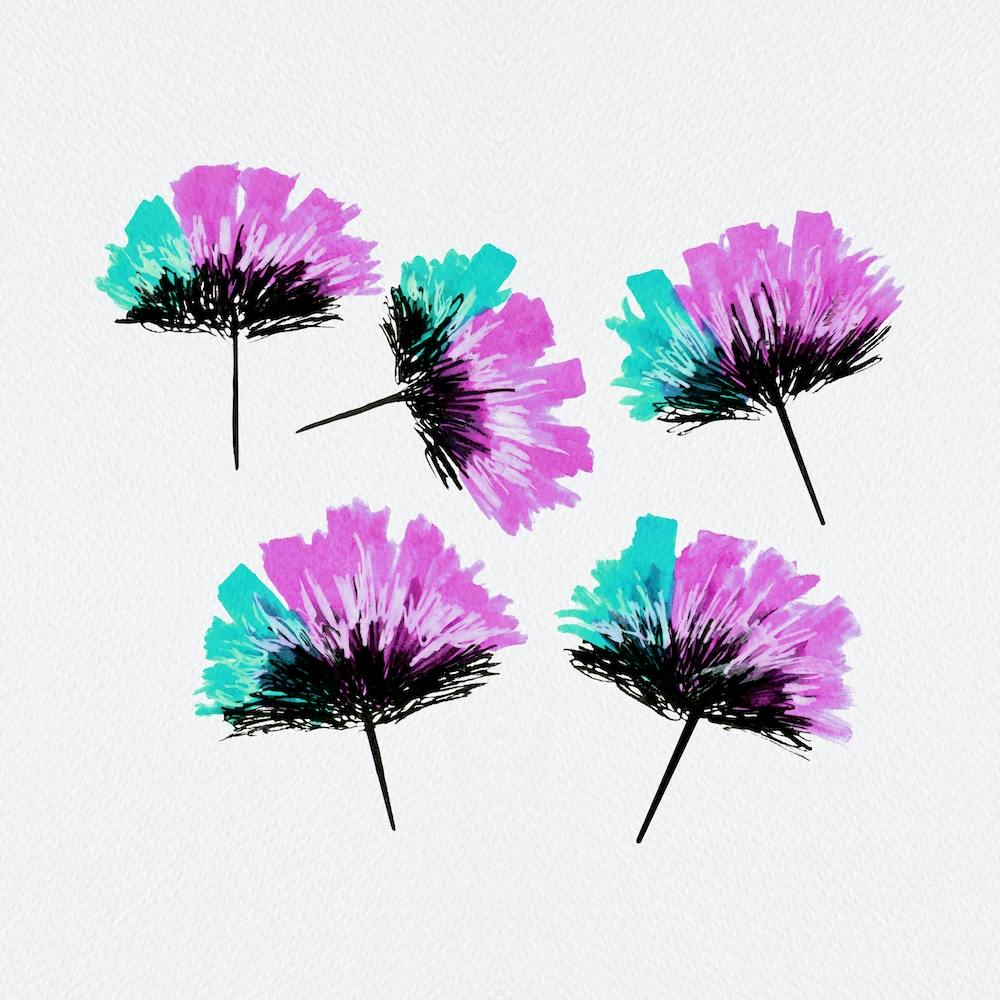 Feathery Flower Mint Lavender