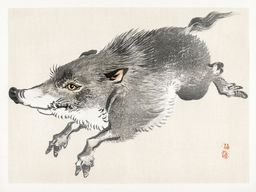 Wild Boar, Kōno Bairei