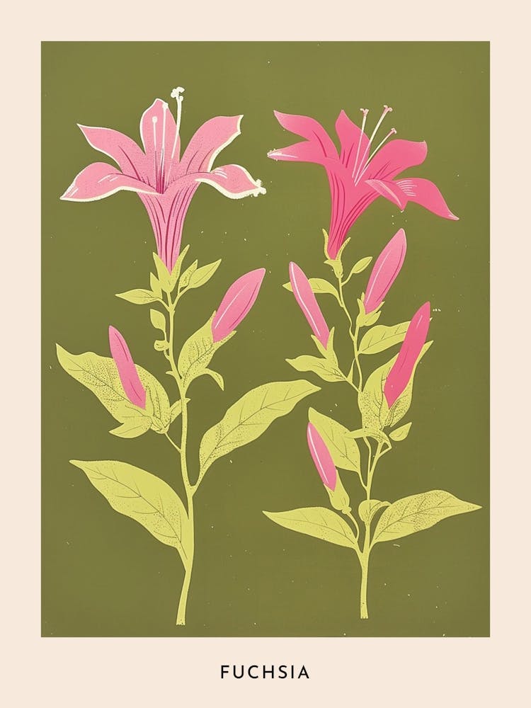 Pink & Green Fuchsia 3 Flower Poster