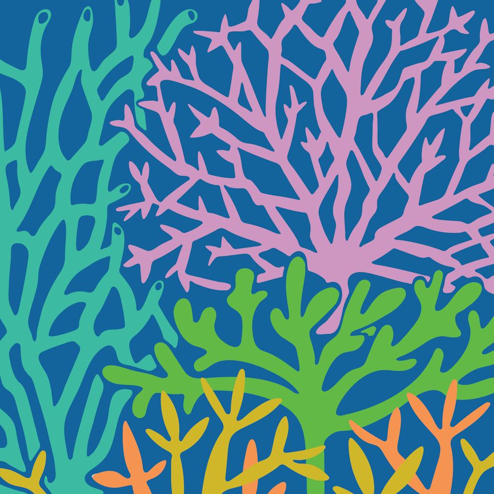 CORAL GARDENS Coastal Beach Undersea Reef in Bright Summer Colours