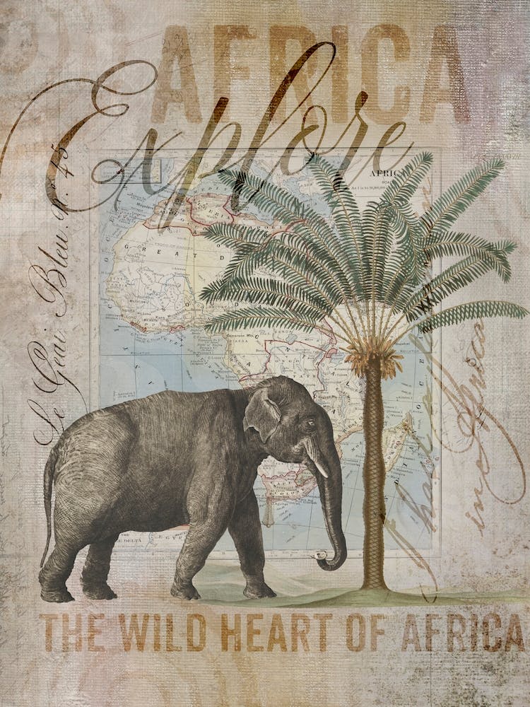 Africas Wild Heart
