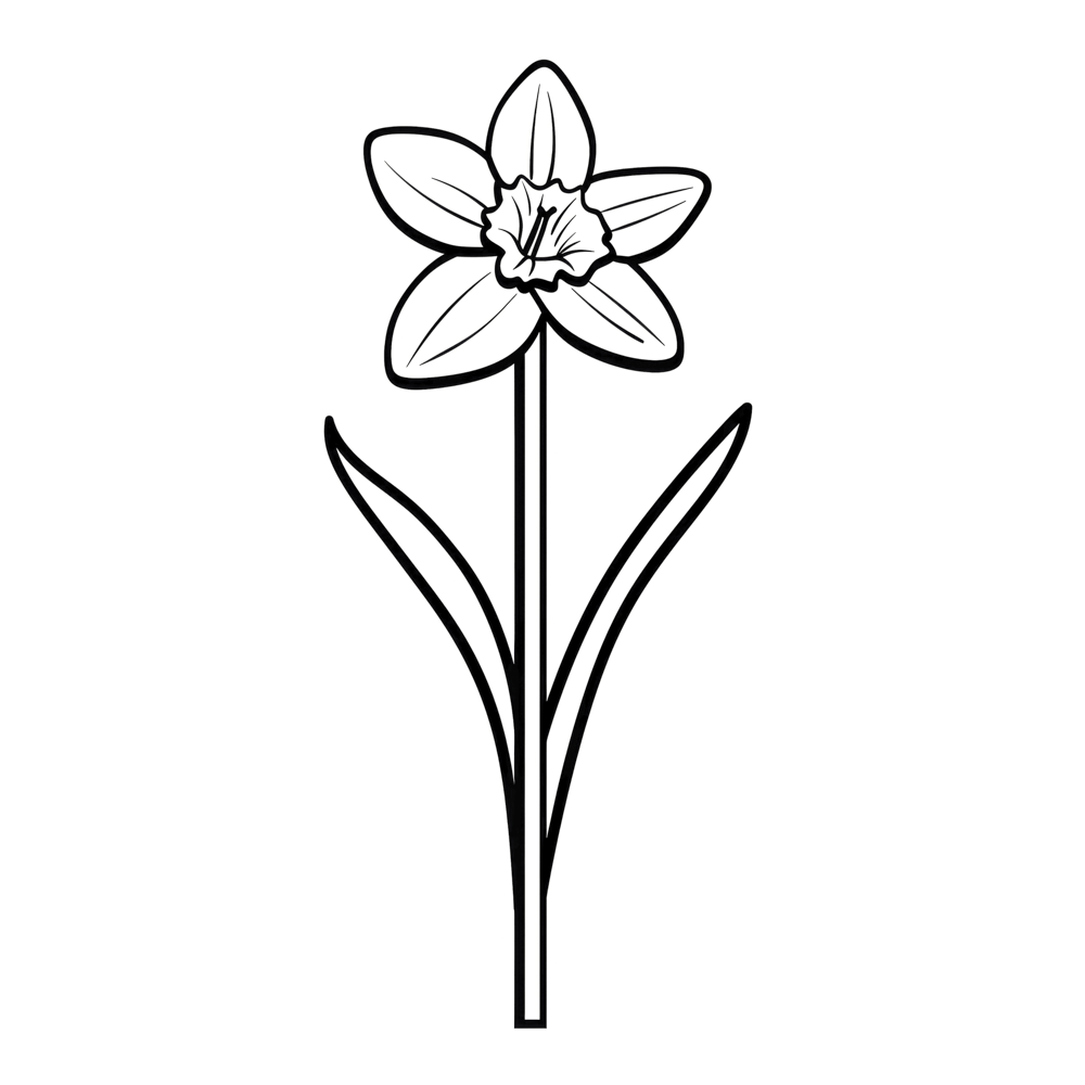 Daffodil March Birth Month Flower