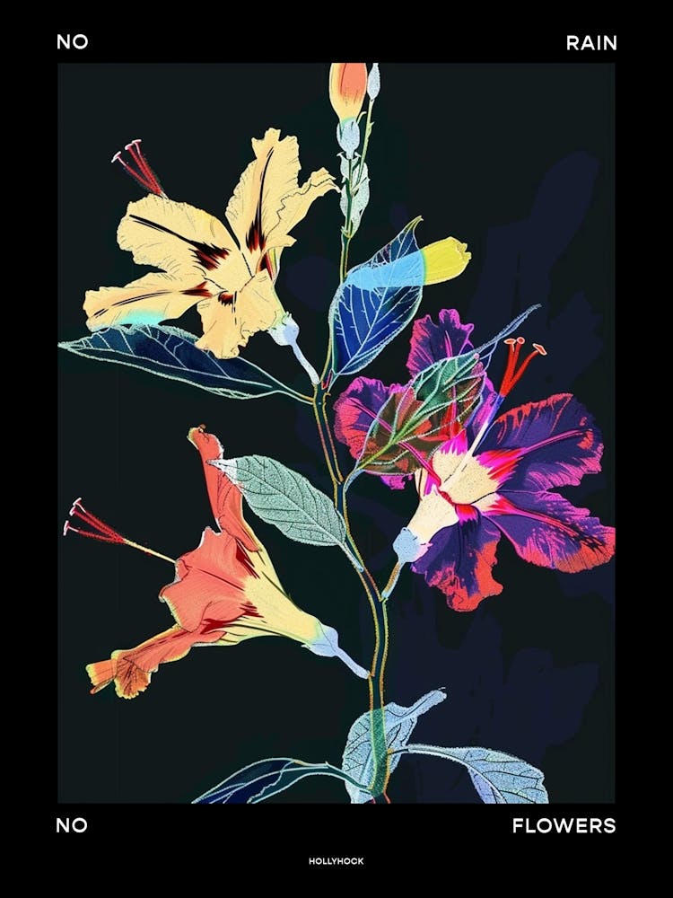 No Rain No Flowers Poster Hollyhock 1