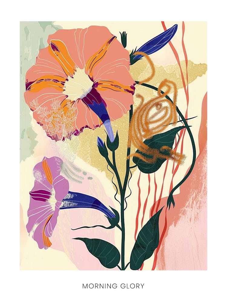 Colourful Flower Illustration Poster Morning Glory 1