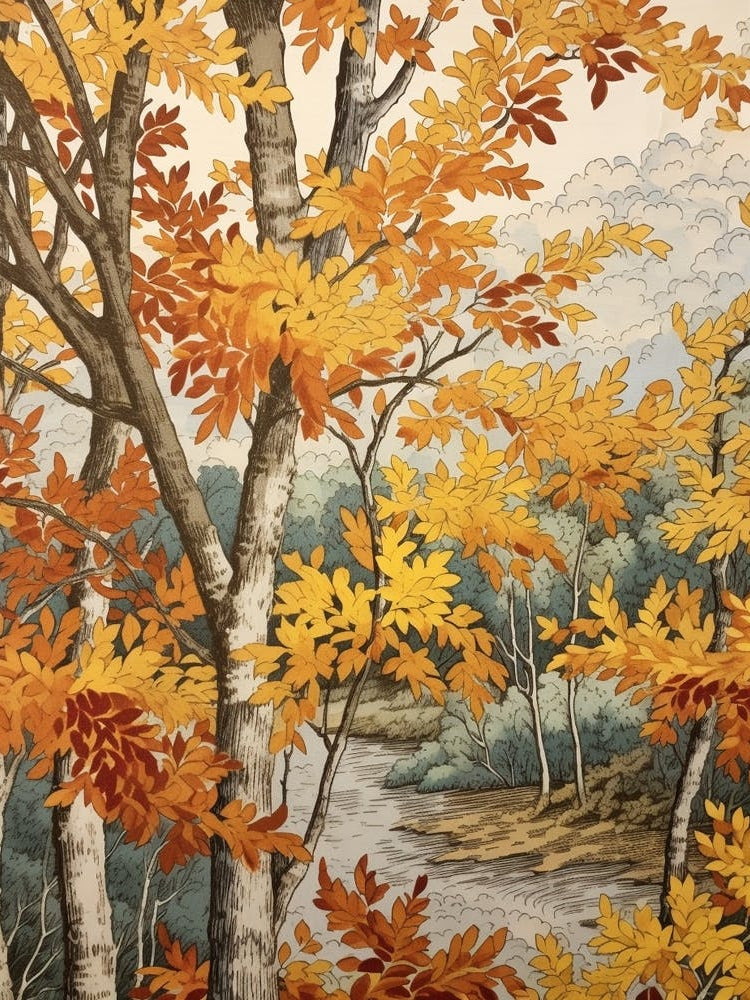 European White Birch 2 Vintage Autumn Tree Print 