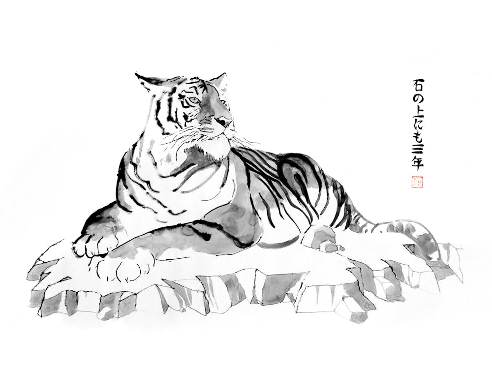 Tiger Ishi No Uenimo