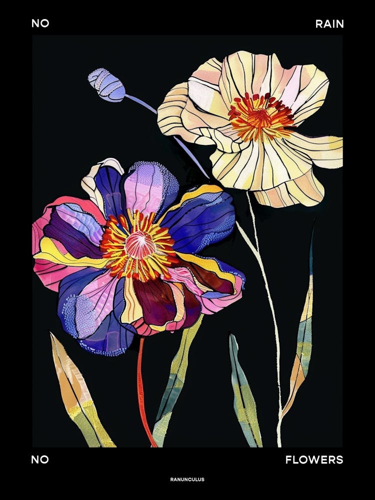 No Rain No Flowers Poster Ranunculus 4