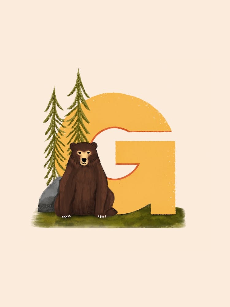 Letter G Grizzly Bear