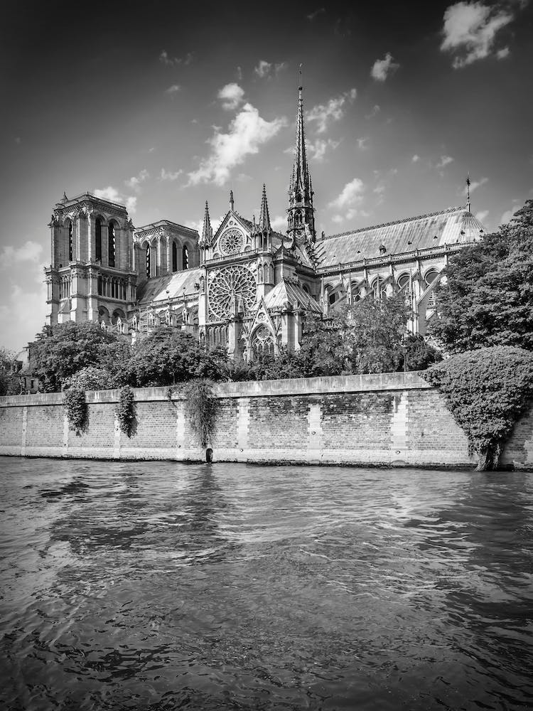 Paris Cathedral Notre Dame 