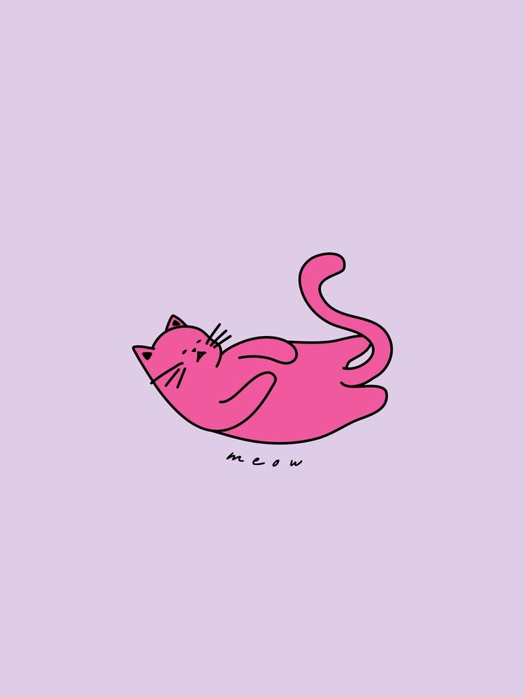 Lilac And Pink Meow Cat