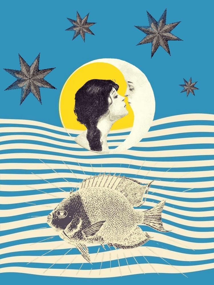 Positive energy - fish - stars - moon - woman - photo montage