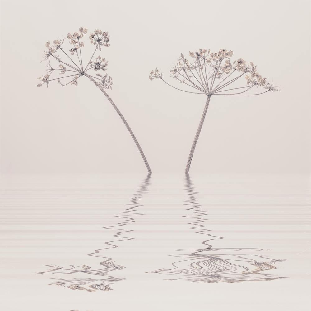 Beauty Of Nature Winter Vibe Square