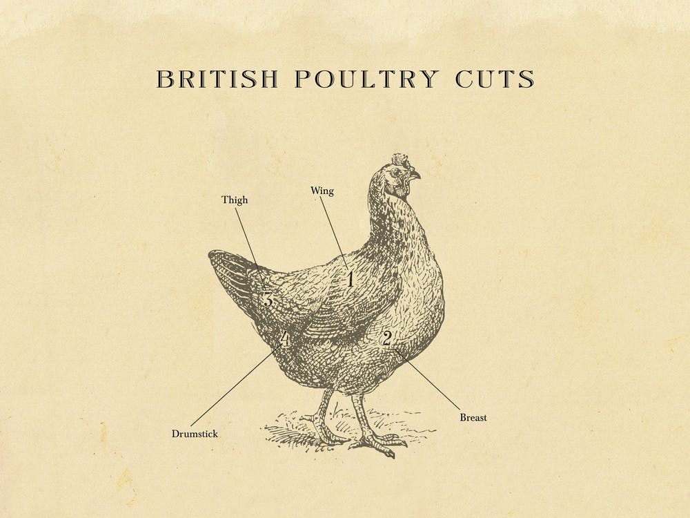 British Chicken Butcher Meat Cuts Chart