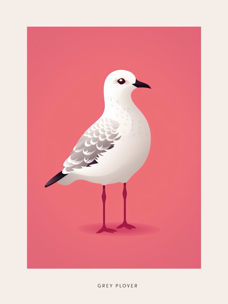 Minimalist Grey Plover 4 Bird Poster