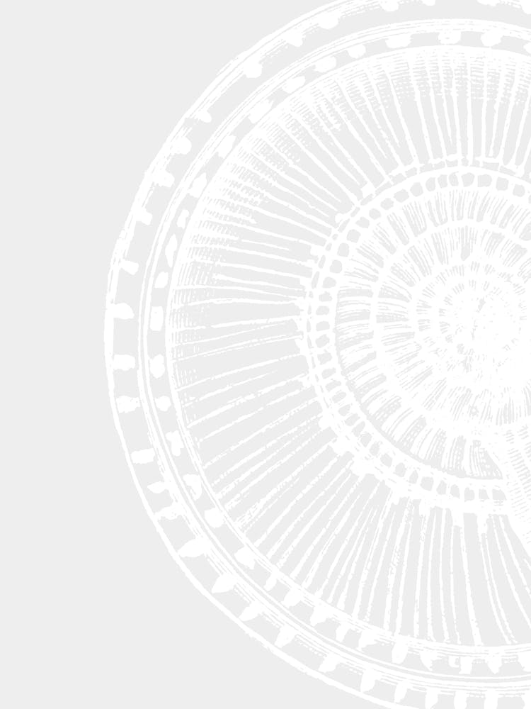 White Circle