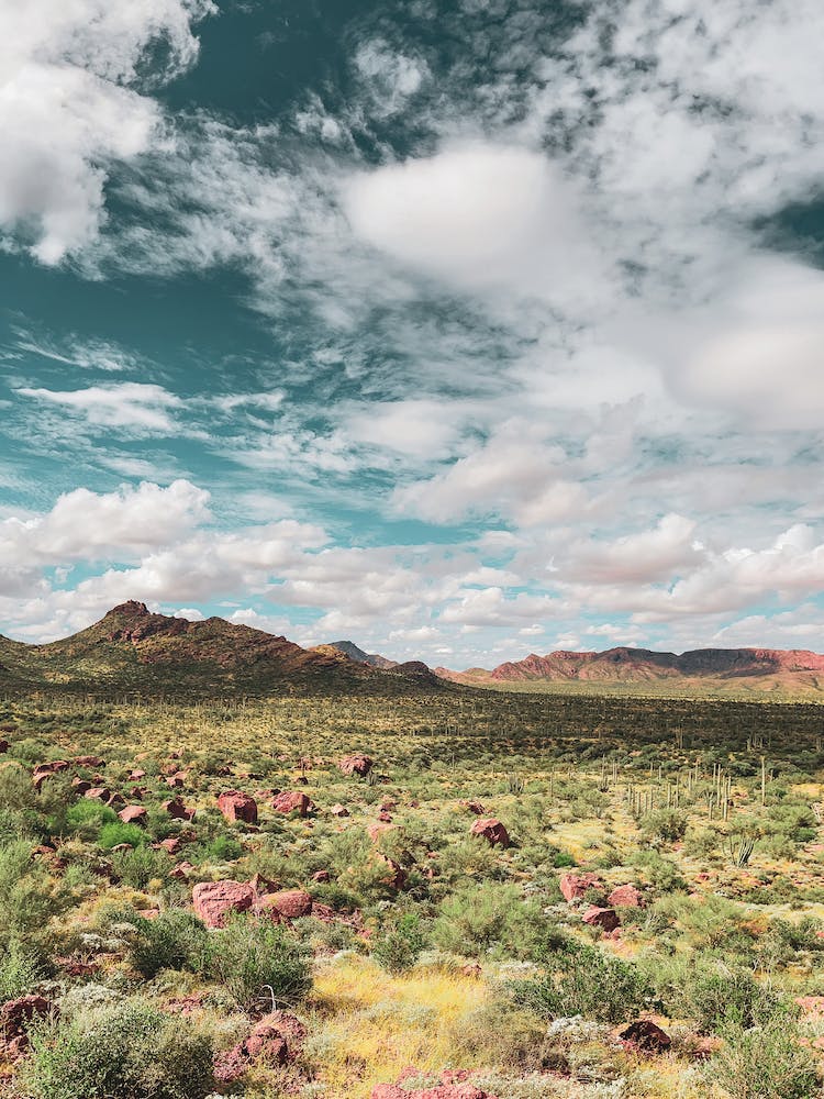 The Sonoran Desert Has No End In Sight