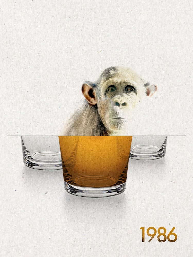 Brass Monkey