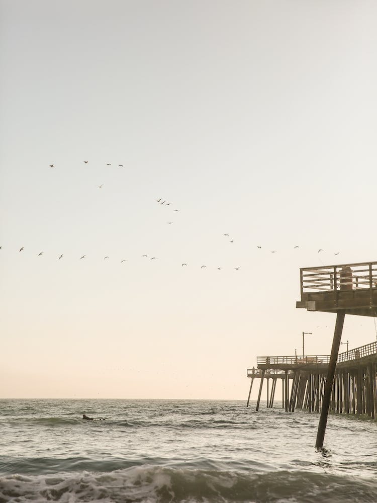 California Surfers