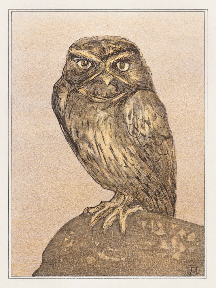Little Owl On A Rock (1878–1908), Theo Van Hoytema