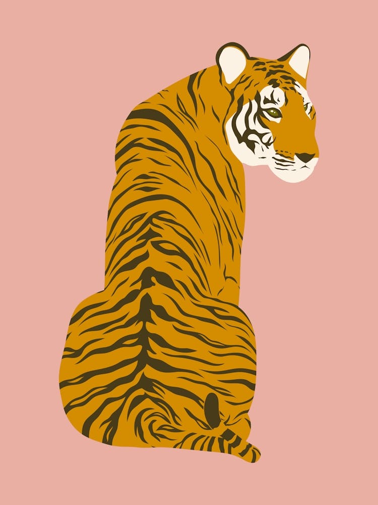 Sitzender Tiger - Rosa