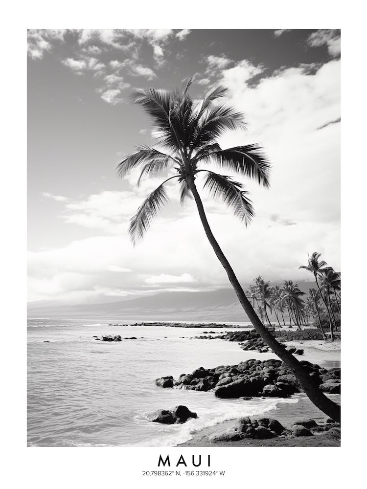 Poster Of Maui, Black And White Analogue Photograph 1