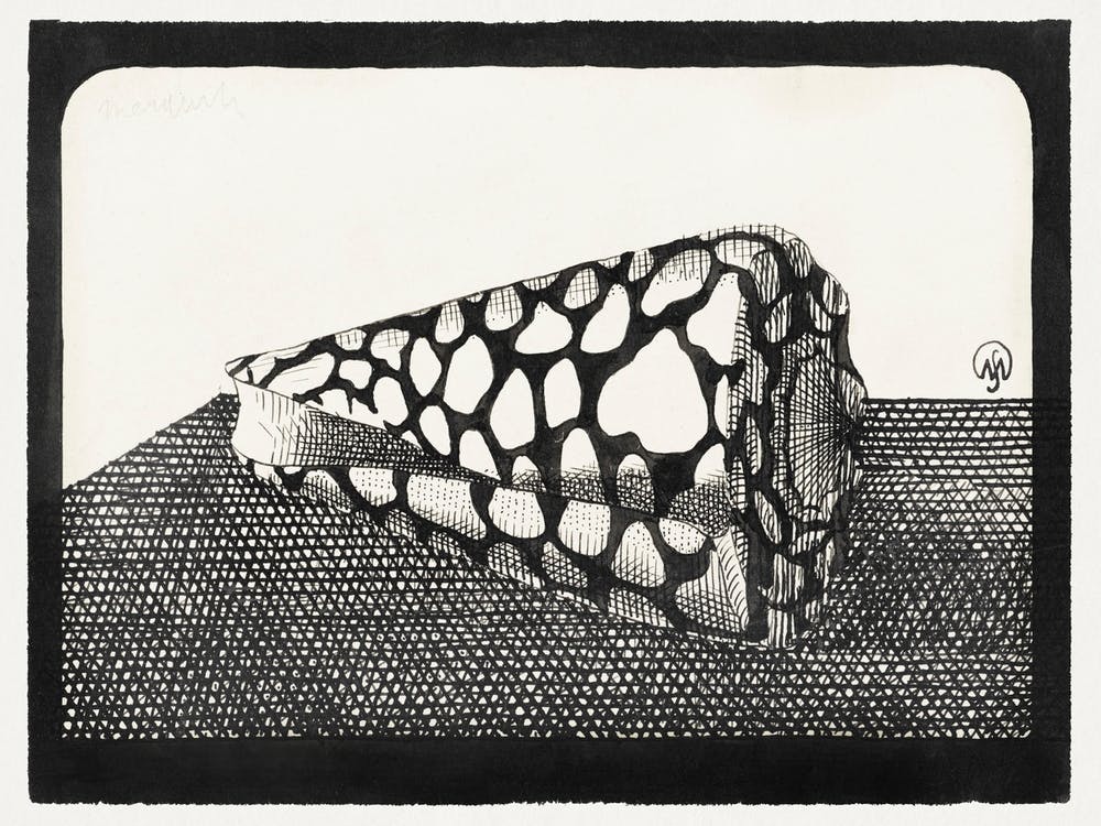 Left Side Of Shell (1878–1944), Samuel Jessurun