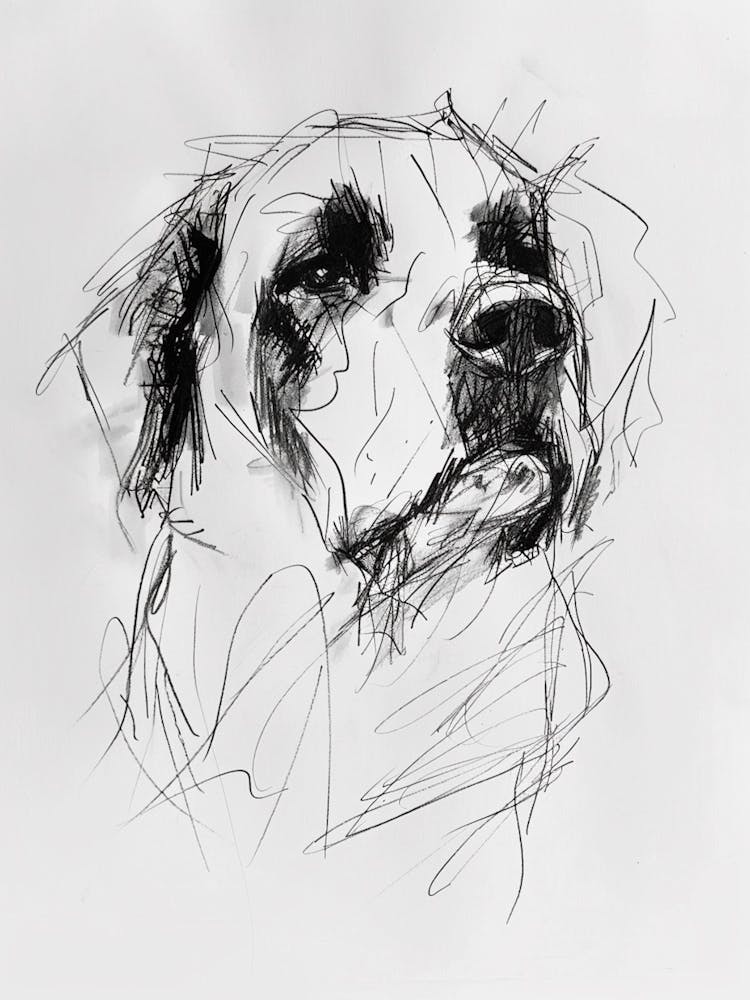 St Bernard Dog Charcoal Line 2