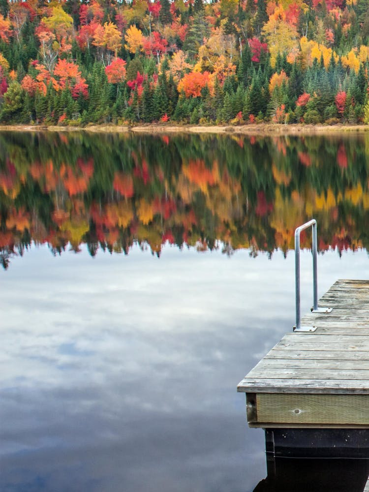 Autumn Leaves On A Dock