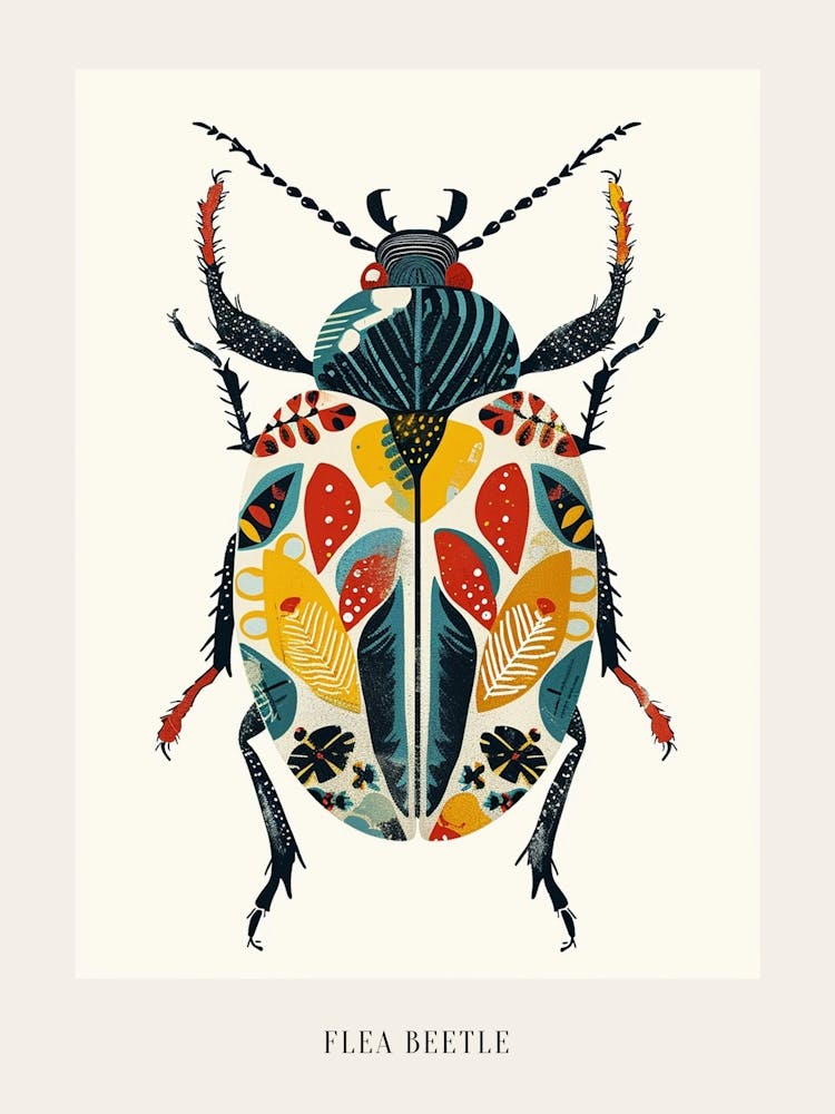Colourful Insect Illustration Flea Beetle 9 Poster