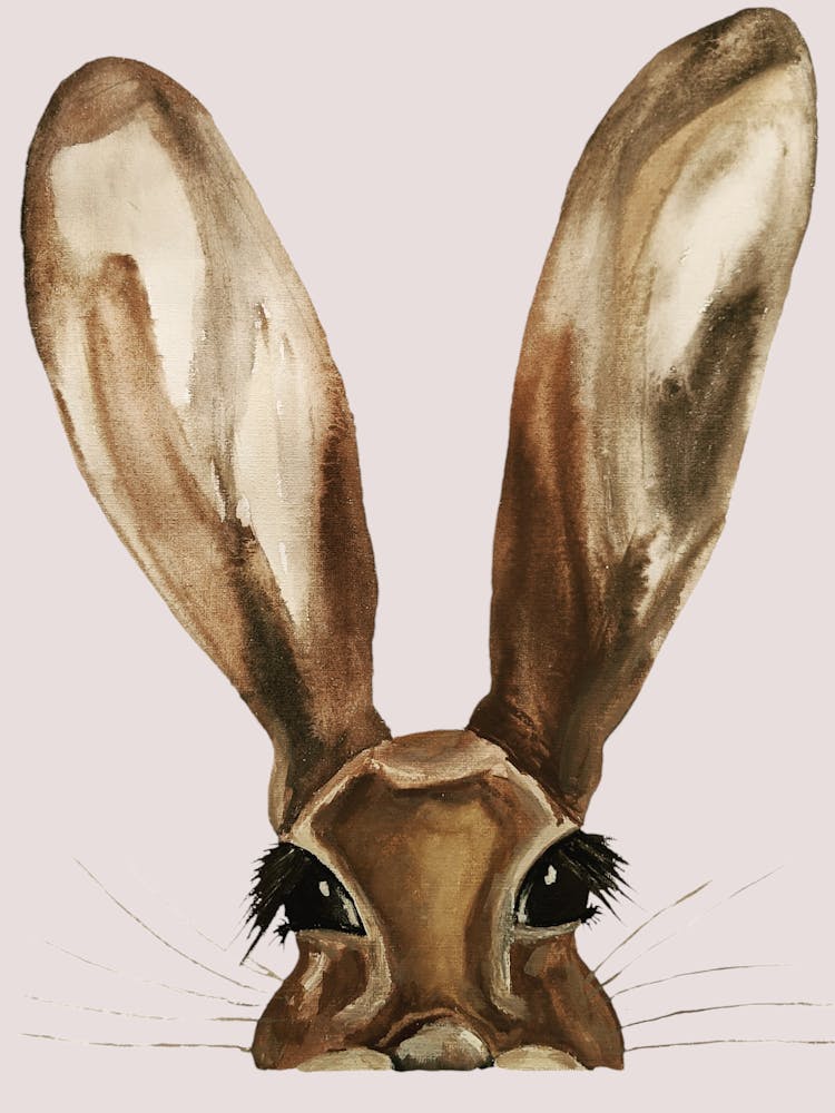 Hare Wildlife