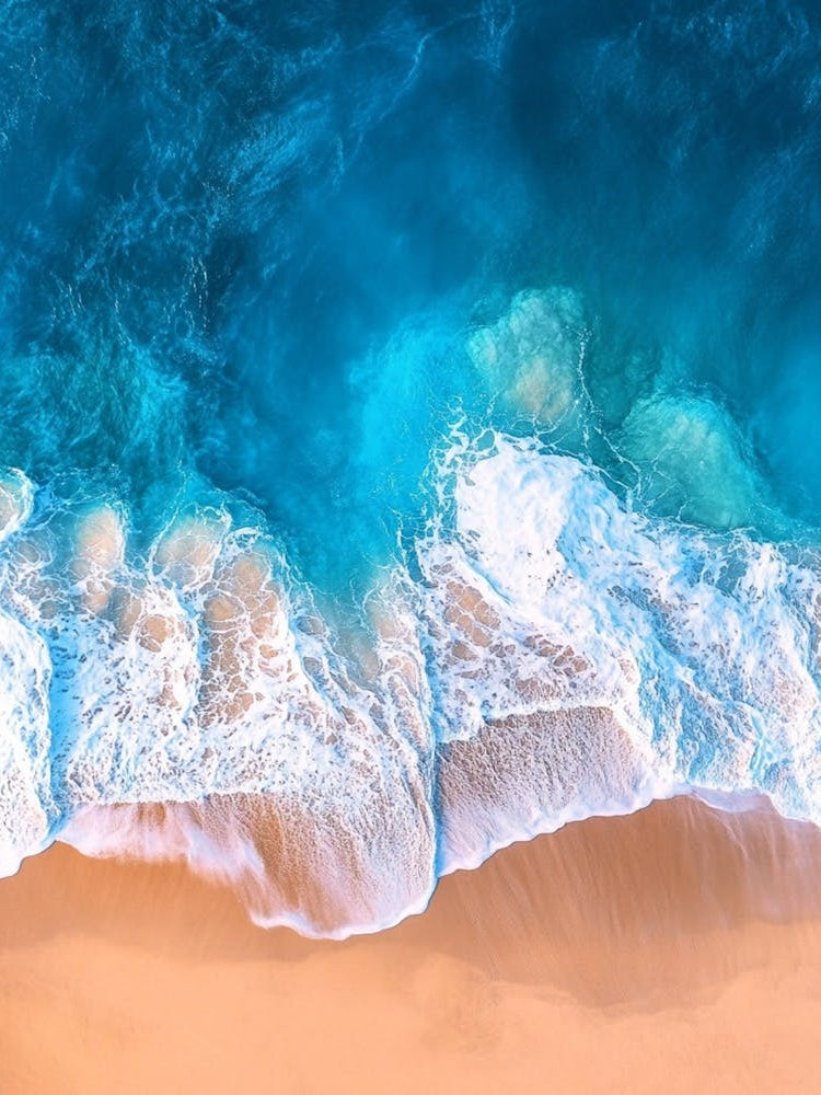 Aerial View Of A Beach And Ocean