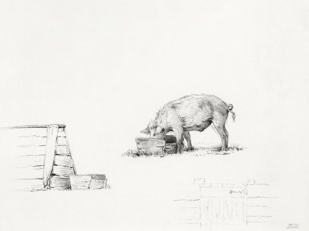 Pig (1823), Jean Bernard