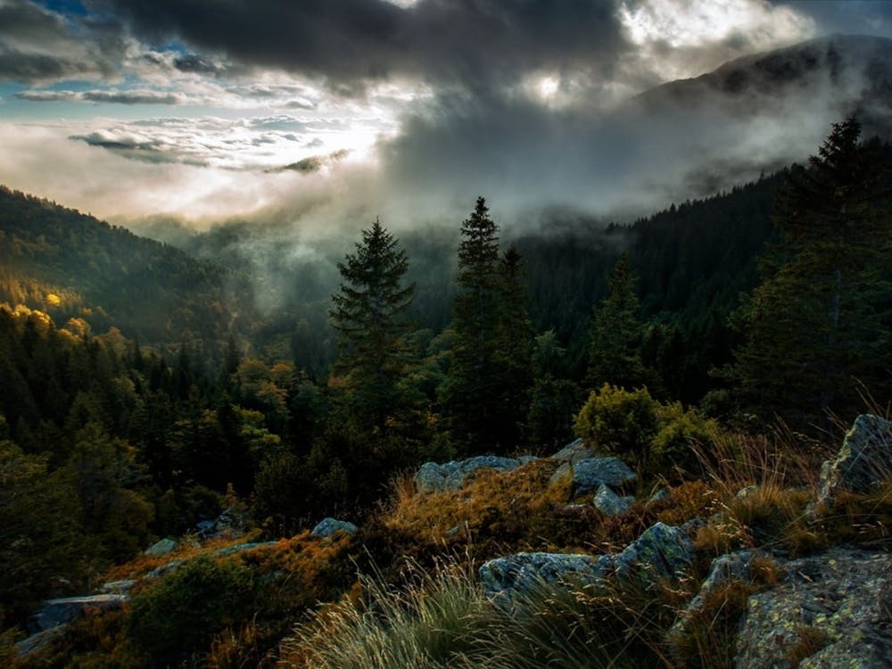 Clouds In The Mountains