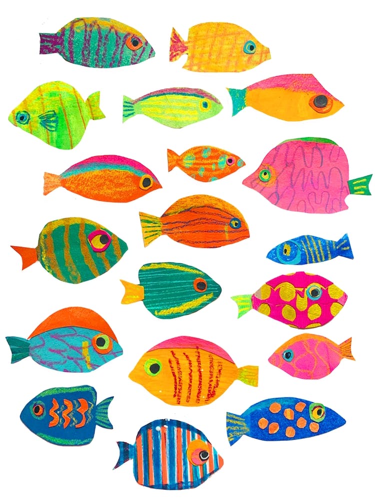 Tropical Fish