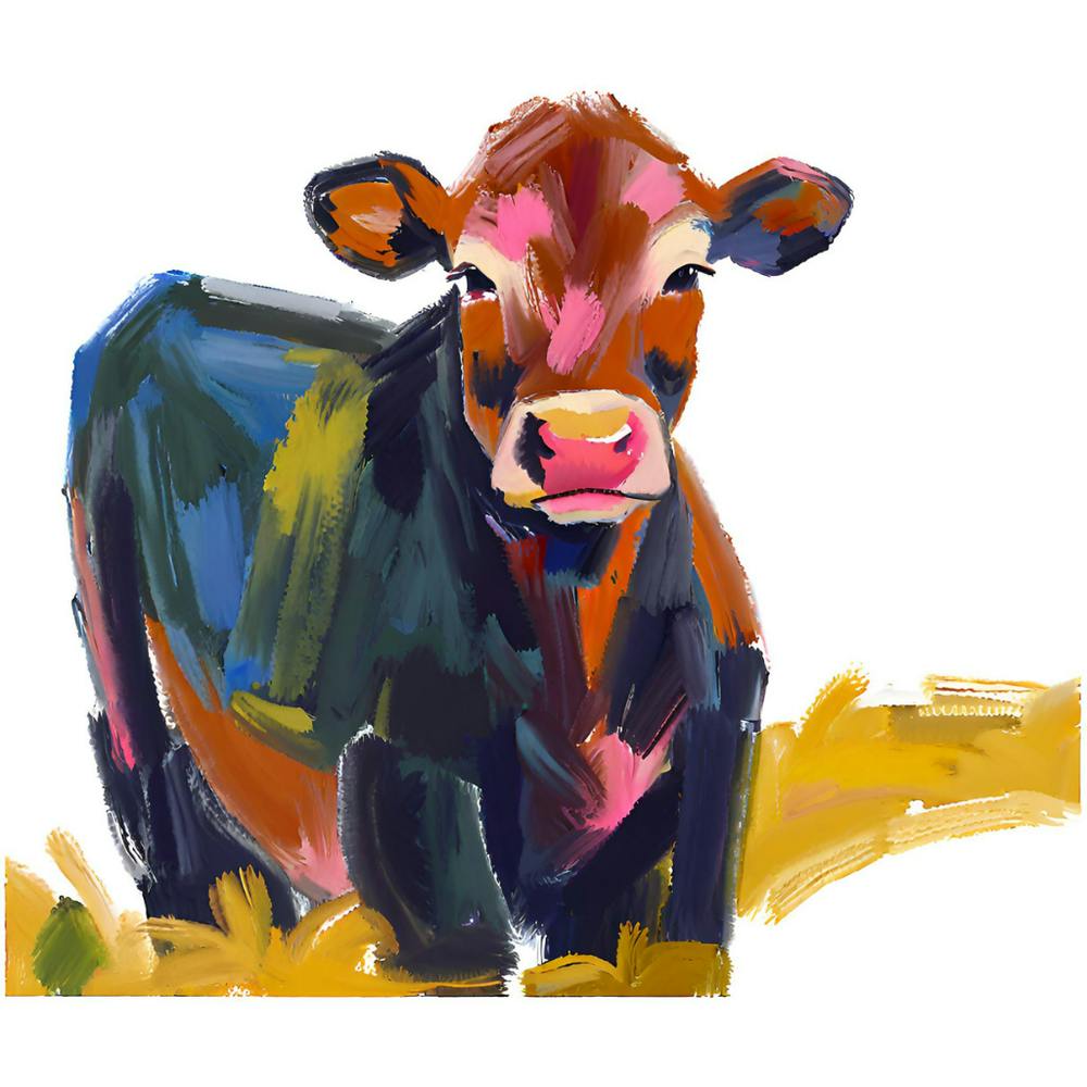 Angus Cow 04 1