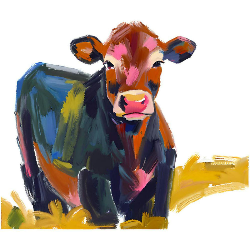 Angus Cow 04 1