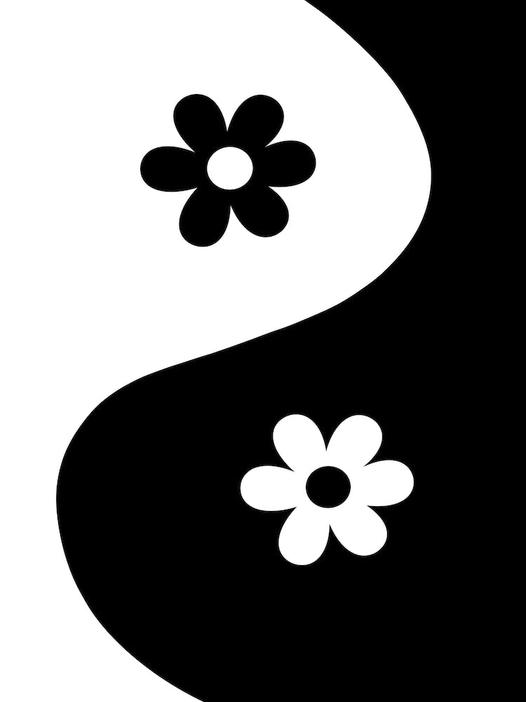 Yin Yang Daisies