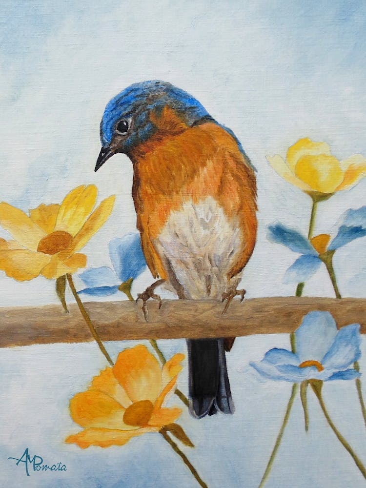 Flower Peeping Eastern Bluebird