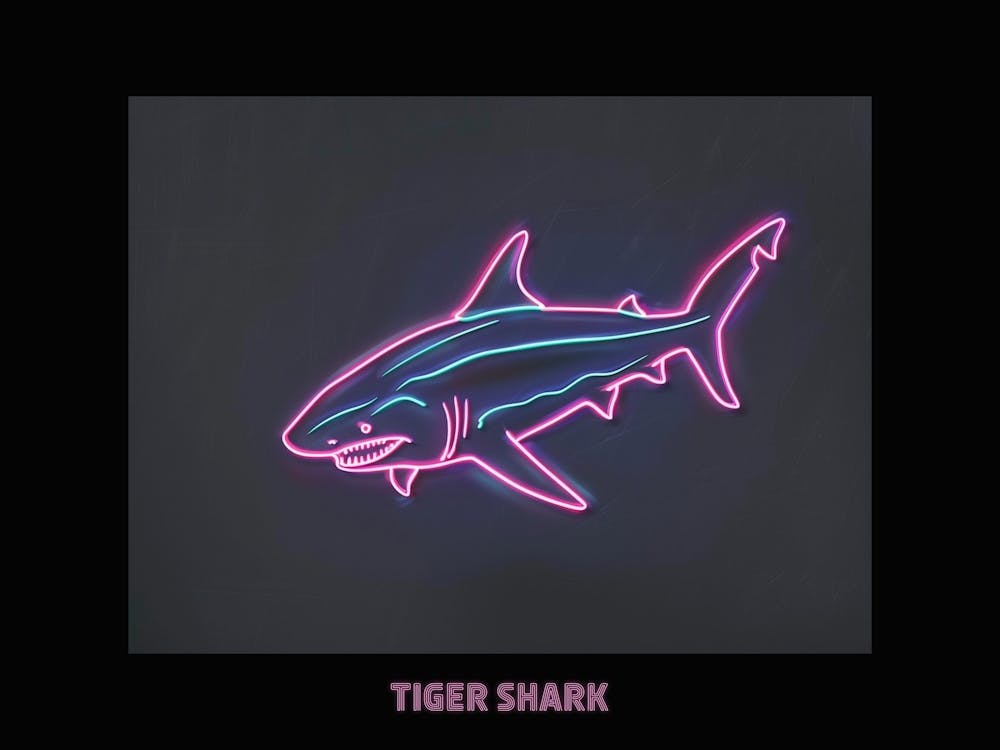 Neon Pink Tiger Shark Poster 2