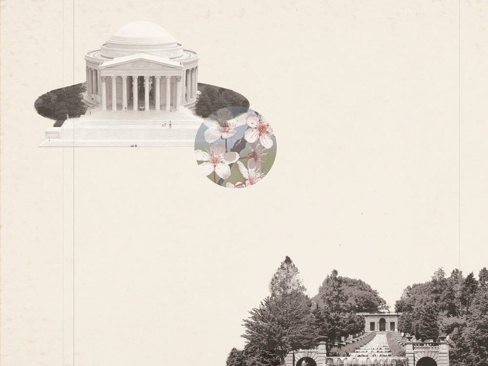 Dreams of Washington DC