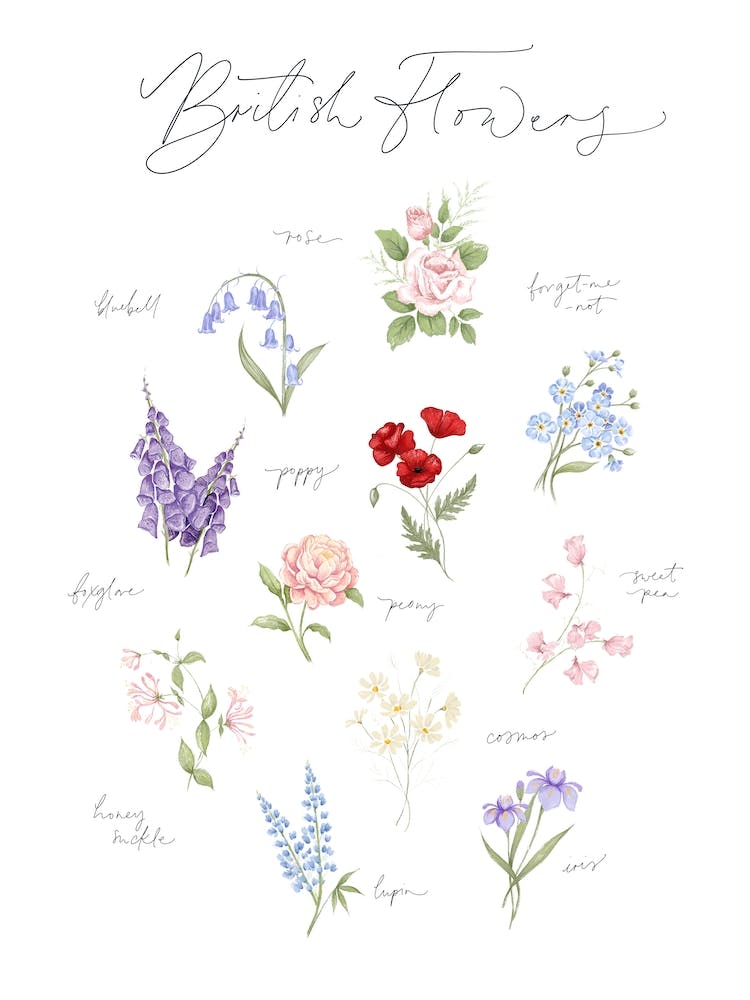 British Flowers By The Mapmakers