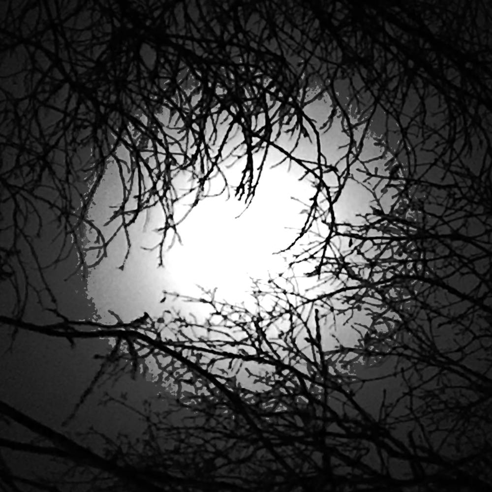 Large Moon Posterized