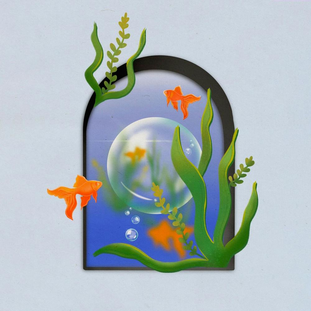 Window To The Sea Square