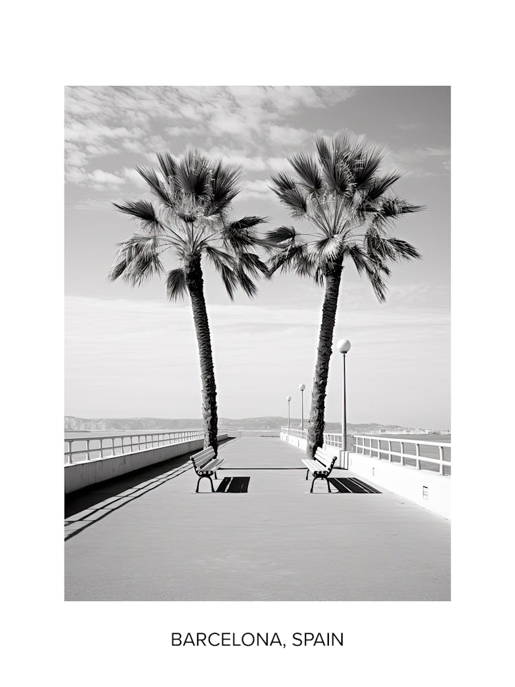Poster Of Cannes, France, Photography In Black And White 4