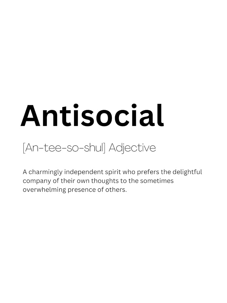 Antisocial Definition Meaning