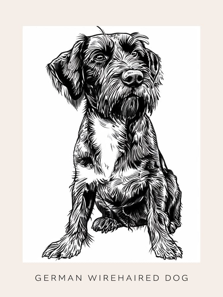 German Wirehaired Dog Line Sketch 2 Poster