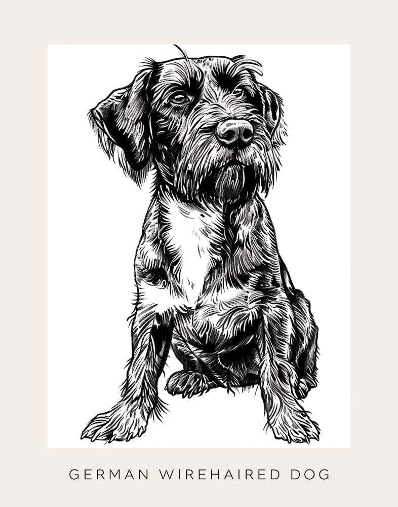 German Wirehaired Dog Line Sketch 2 Poster