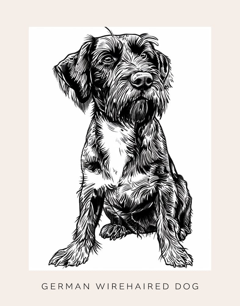 German Wirehaired Dog Line Sketch 2 Poster