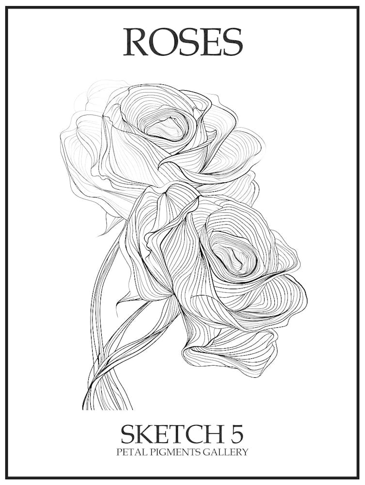 Roses Sketch 5 Poster