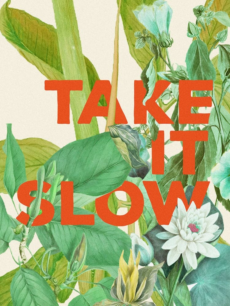 Take It Slow